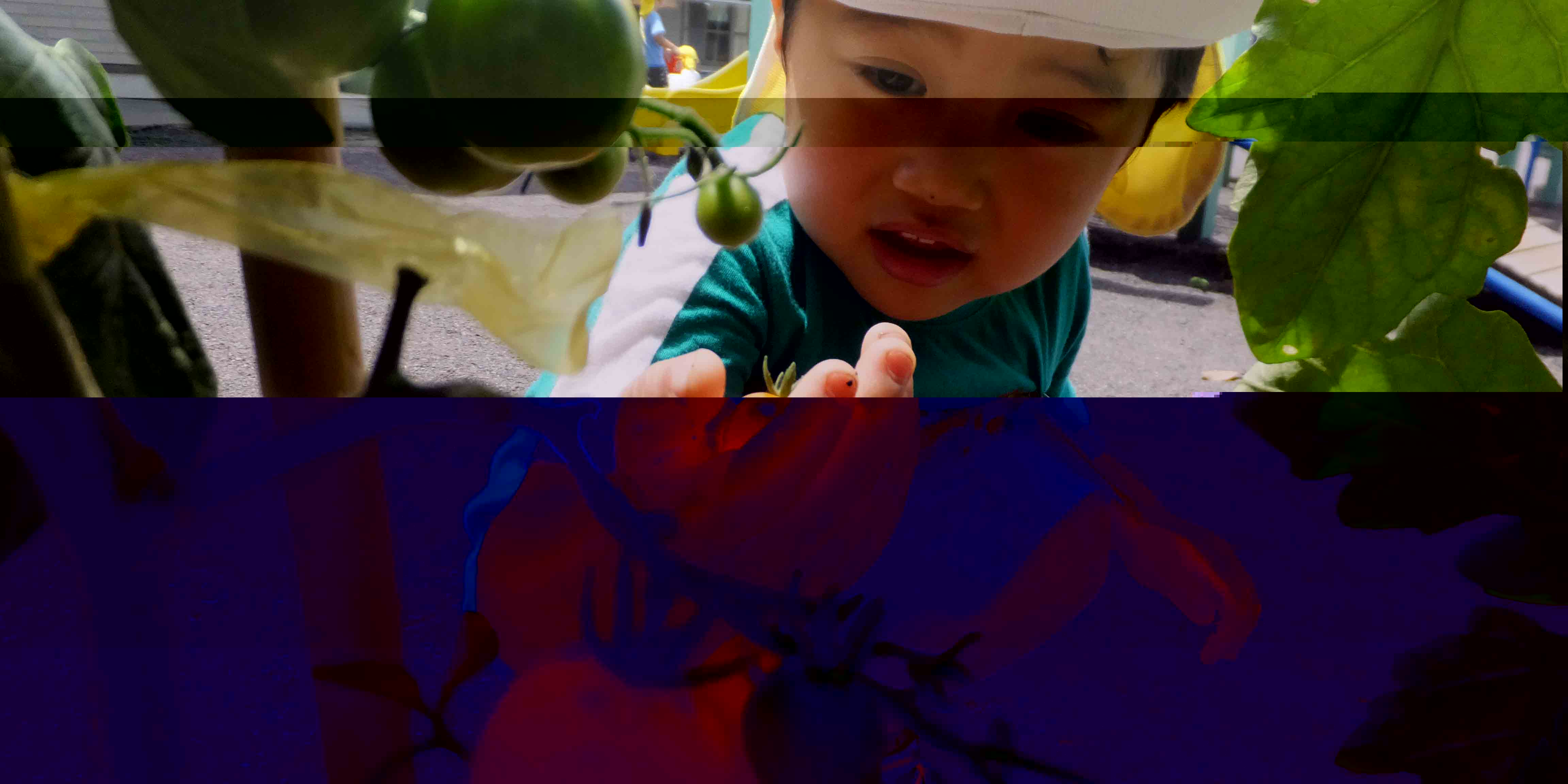 鳩川幼稚園での活動